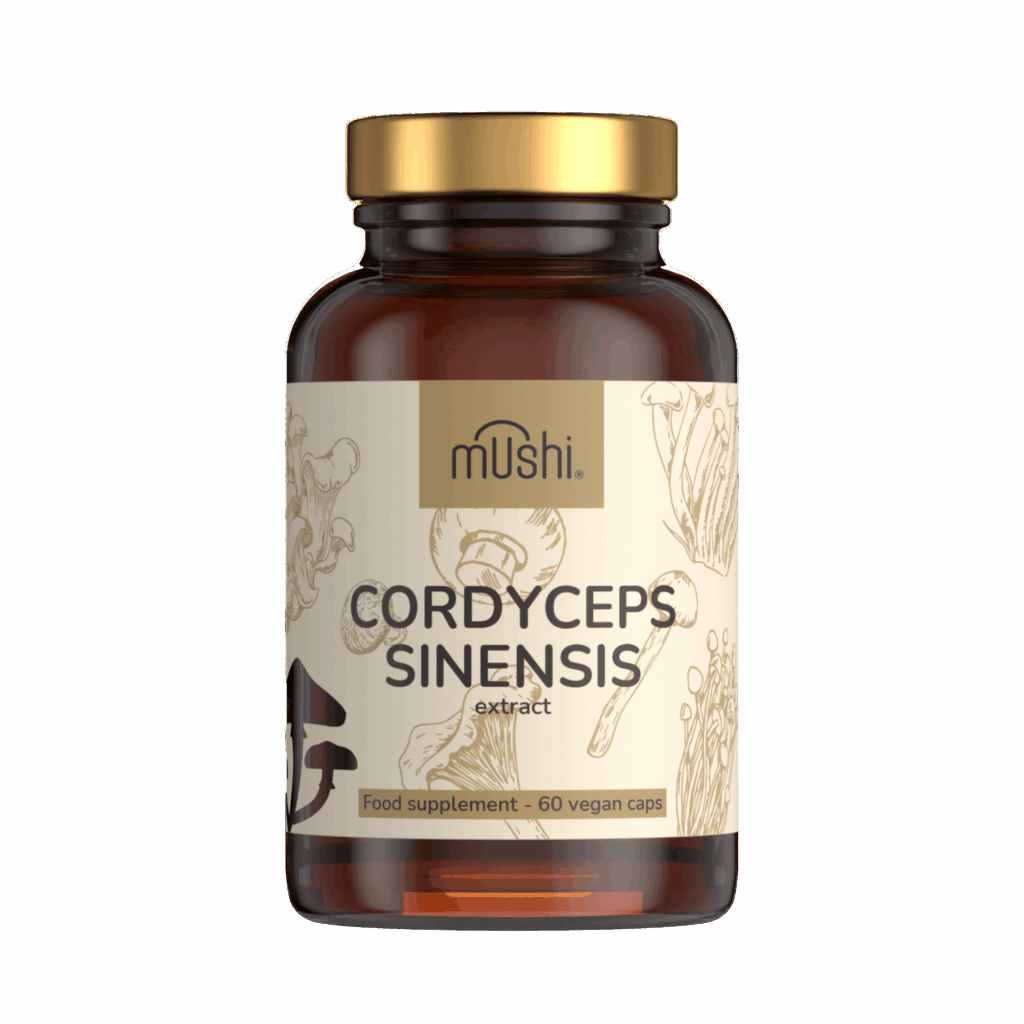 Hernyógomba_Cordyceps