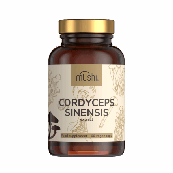 Hernyógomba_Cordyceps