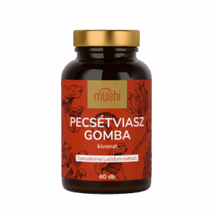 Pecsétviaszgomba kivonat
