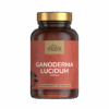 Ganoderma_pecsétviaszgomba