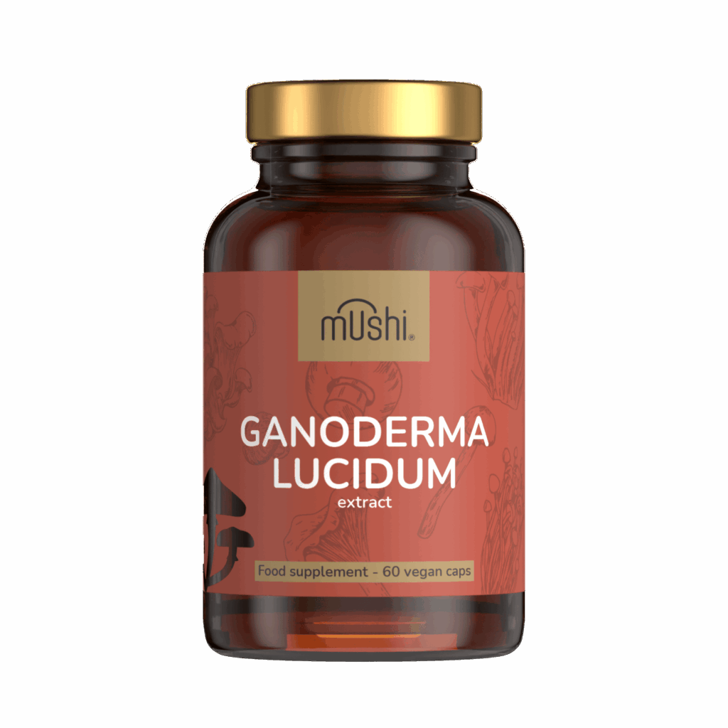 Ganoderma_pecsétviaszgomba