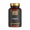 chaga gyógygomba