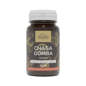 Chaga gomba kivonat - ajándék