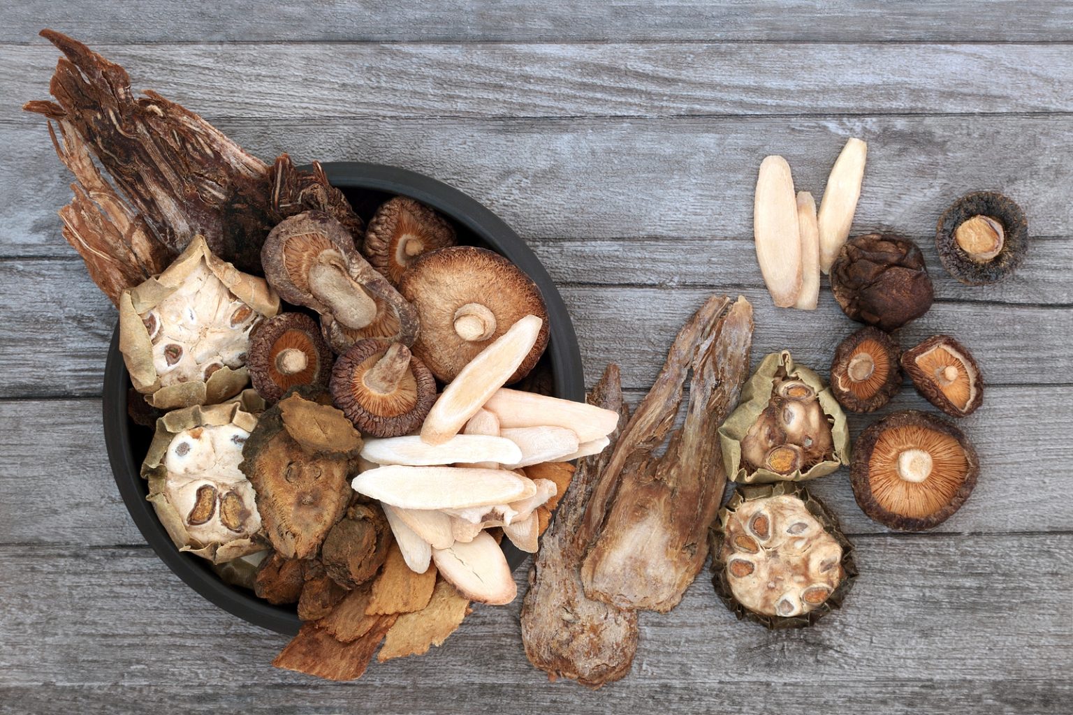 Shiitake gomba kivonat Mushi