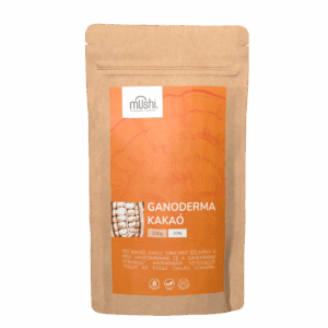 ganoderma kakaó